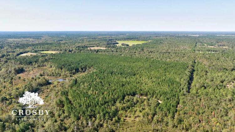 Rosedale Tract