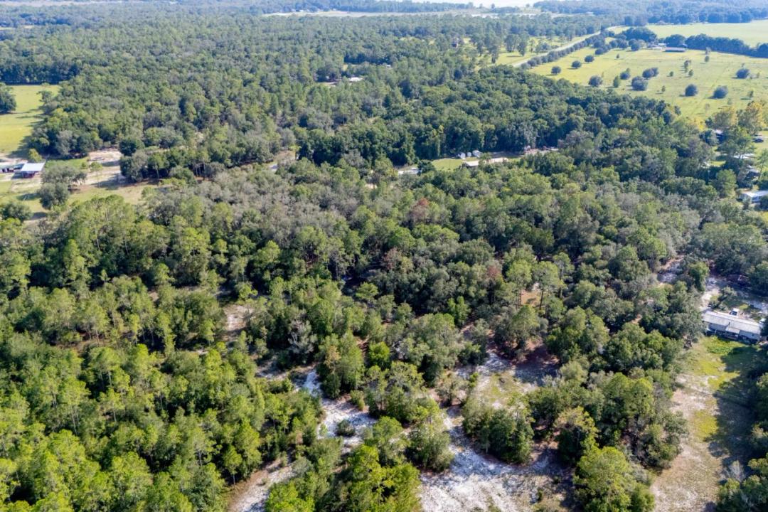 Unique Opportunity in Southern Clay County