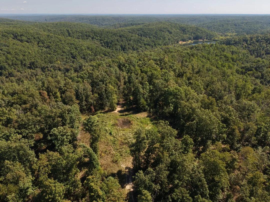 000 Coldwater Creek Road (Bundle F-10,11,12,13) Womack, MO-Ste. Genevieve Co. 32.49 +/- Acres