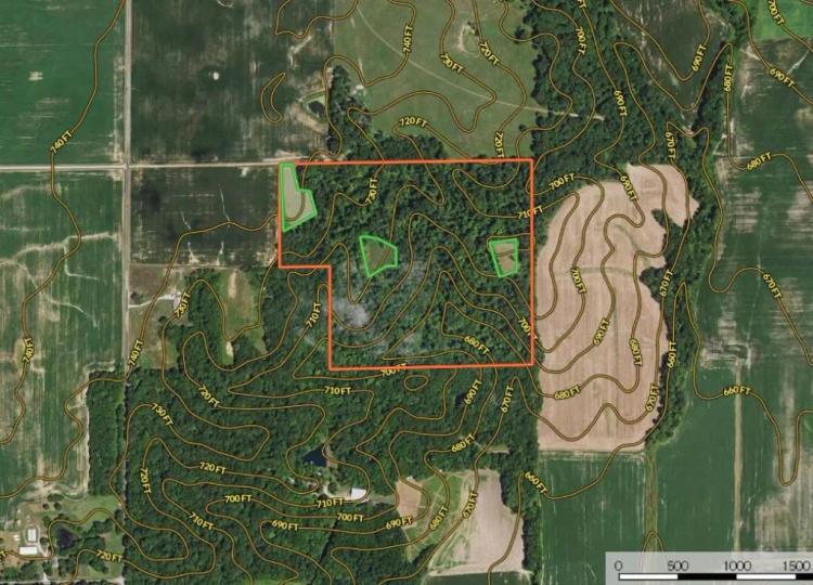 Secluded 45± Acre Illinois Hunting Tract for Sale – Coles County