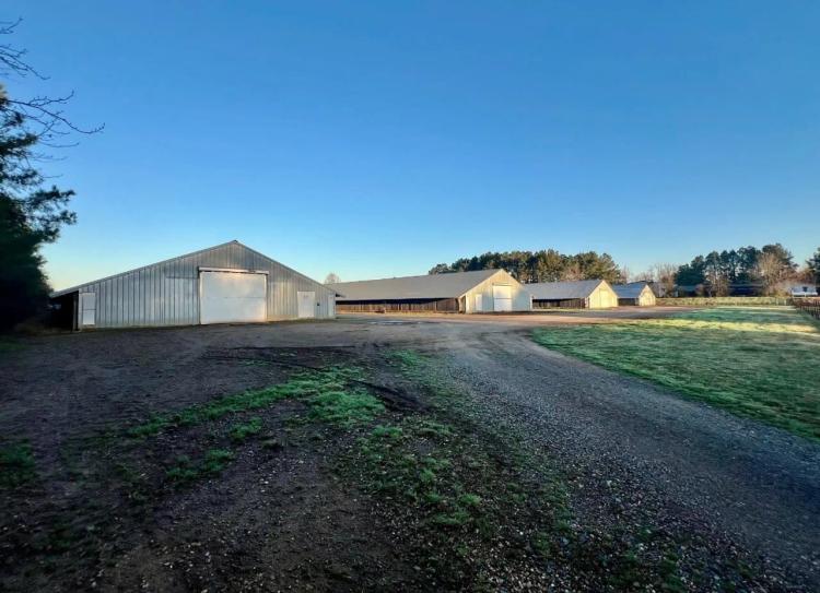Louisiana Poultry 8 House Broiler Farm with High Income