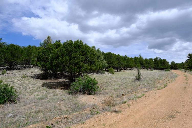 5.00 Acres at 515 Sunset Trail
