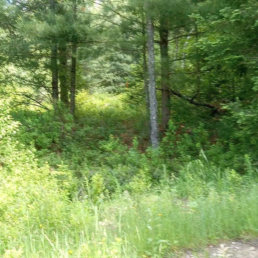 APA Approved subdivision