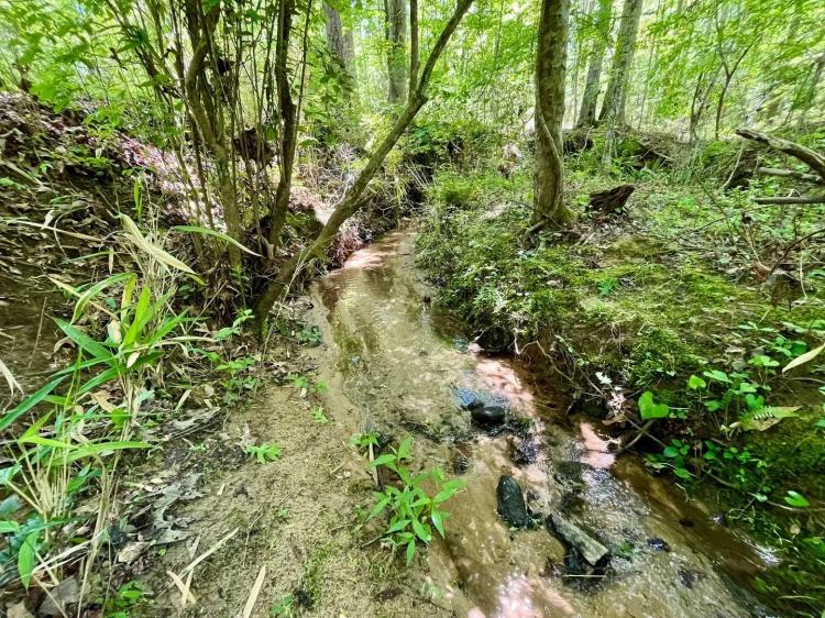 32 +/- Acres in Heard County, GA