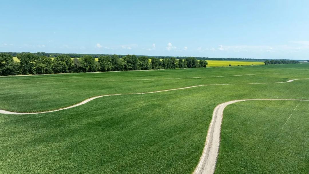 513± Acre Arkansas Row Crop & Waterfowl Farm | Irrigated Farmland, Duck & Goose Hunting, Cross Co, AR