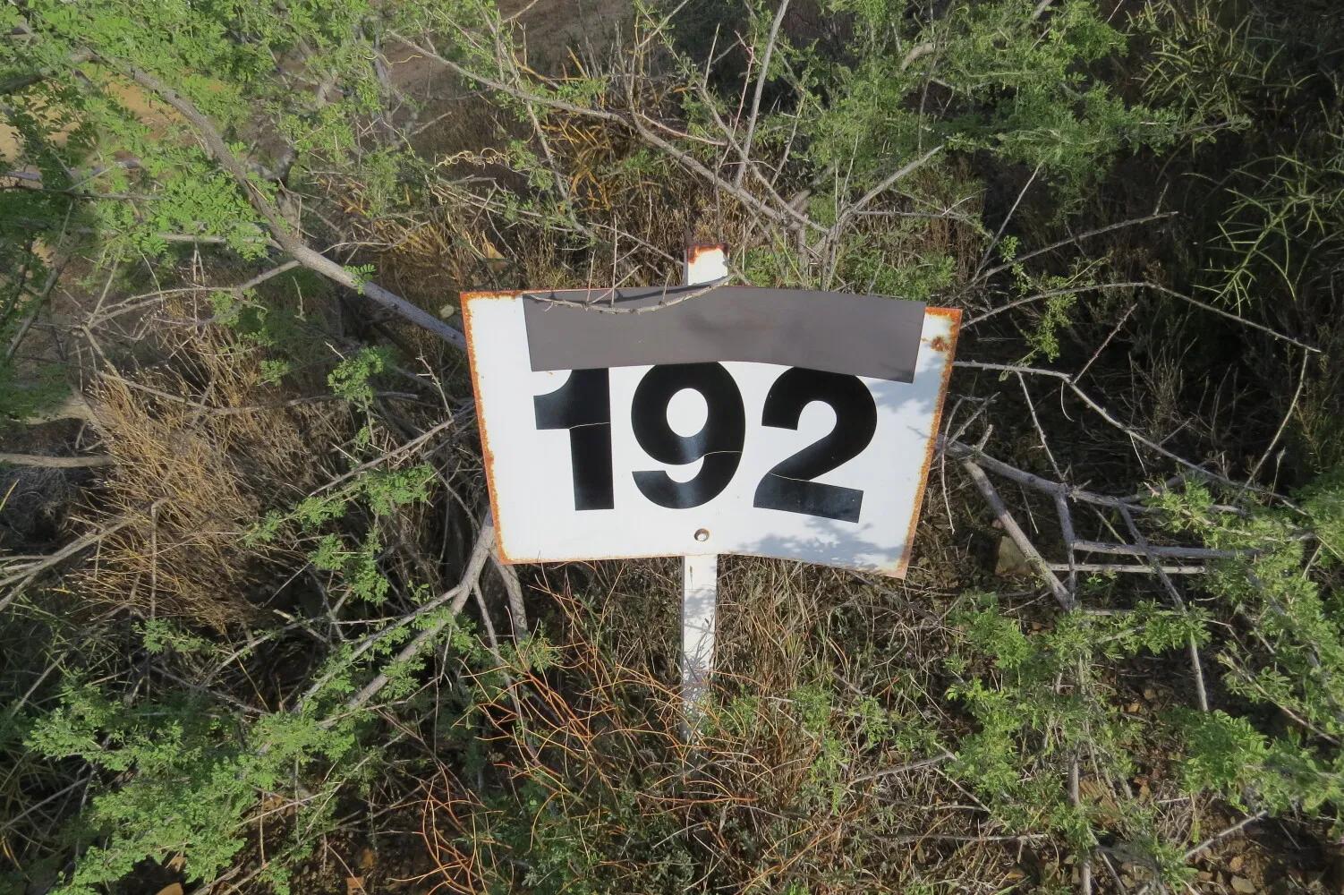 40778551-6