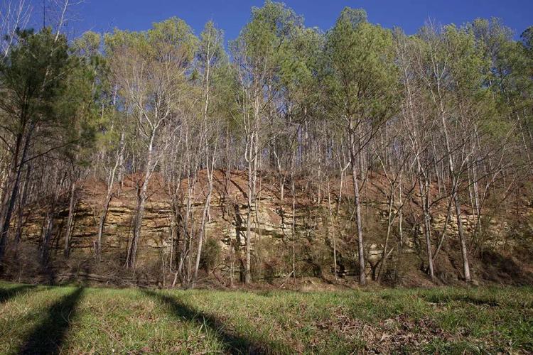 92 Acres in Marion County, AL 