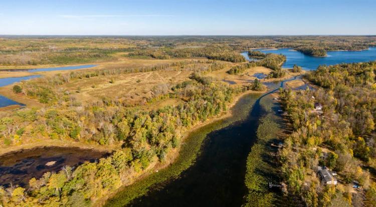 Gorgeous, quiet, land on Little Mantrap Lake-full of potential!