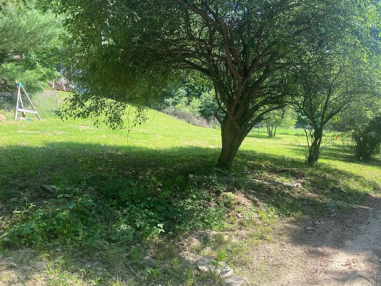 40825273-22