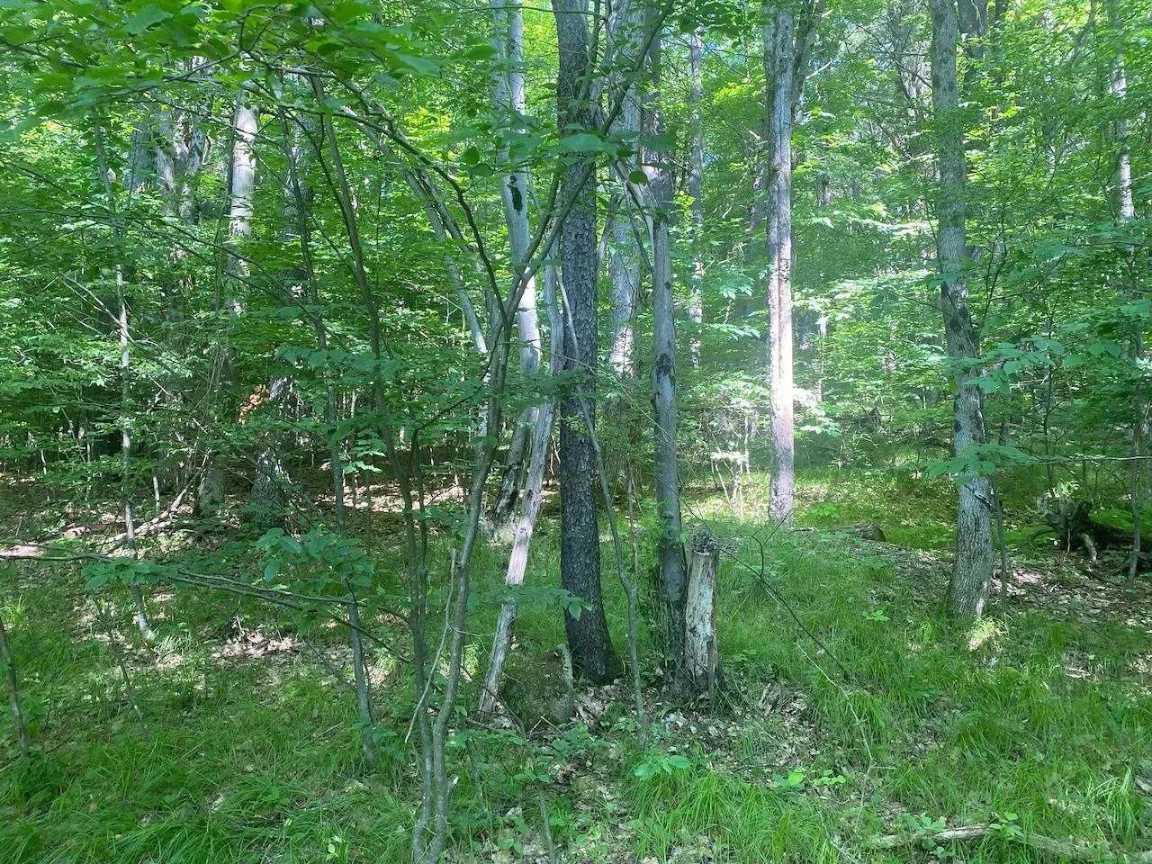 40825273-34