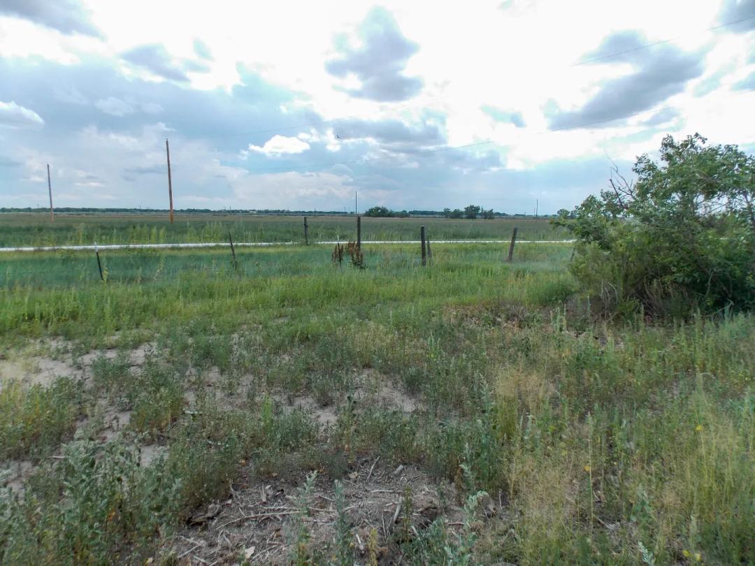 49.5 Acres Near Boone, CO For Sale