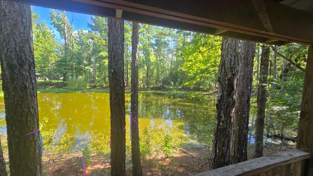 7.7+/- Acres in the Heart of the Homochitto National Forest