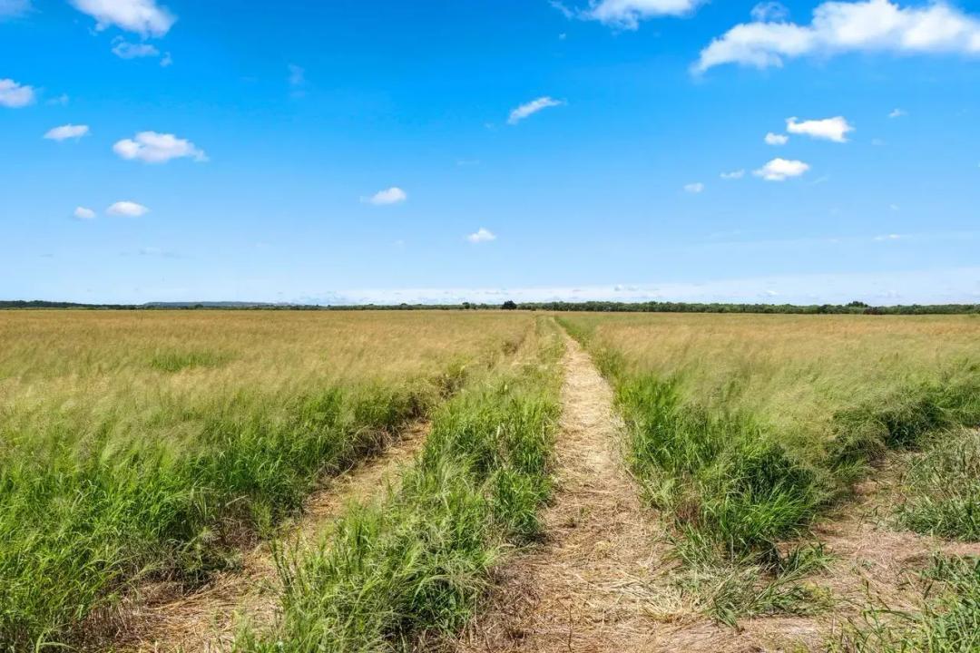 HAM - BALL RANCH - 200 ACRES NORTH