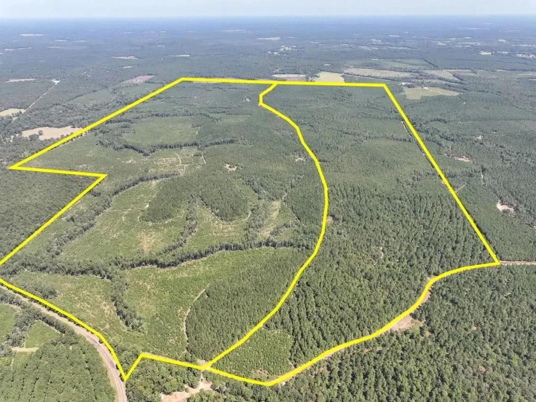 196 Acres | T-2 | County Road 2300