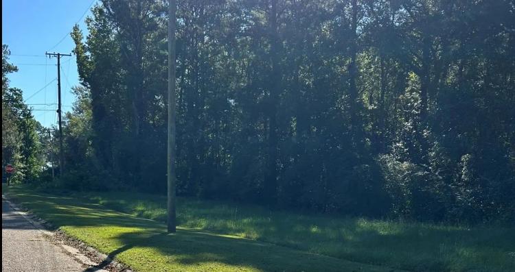 0.5 Acre Lot in Covington County in Collins, MS 