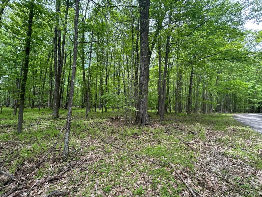915 Galloway Rd, DuBois, PA 15801