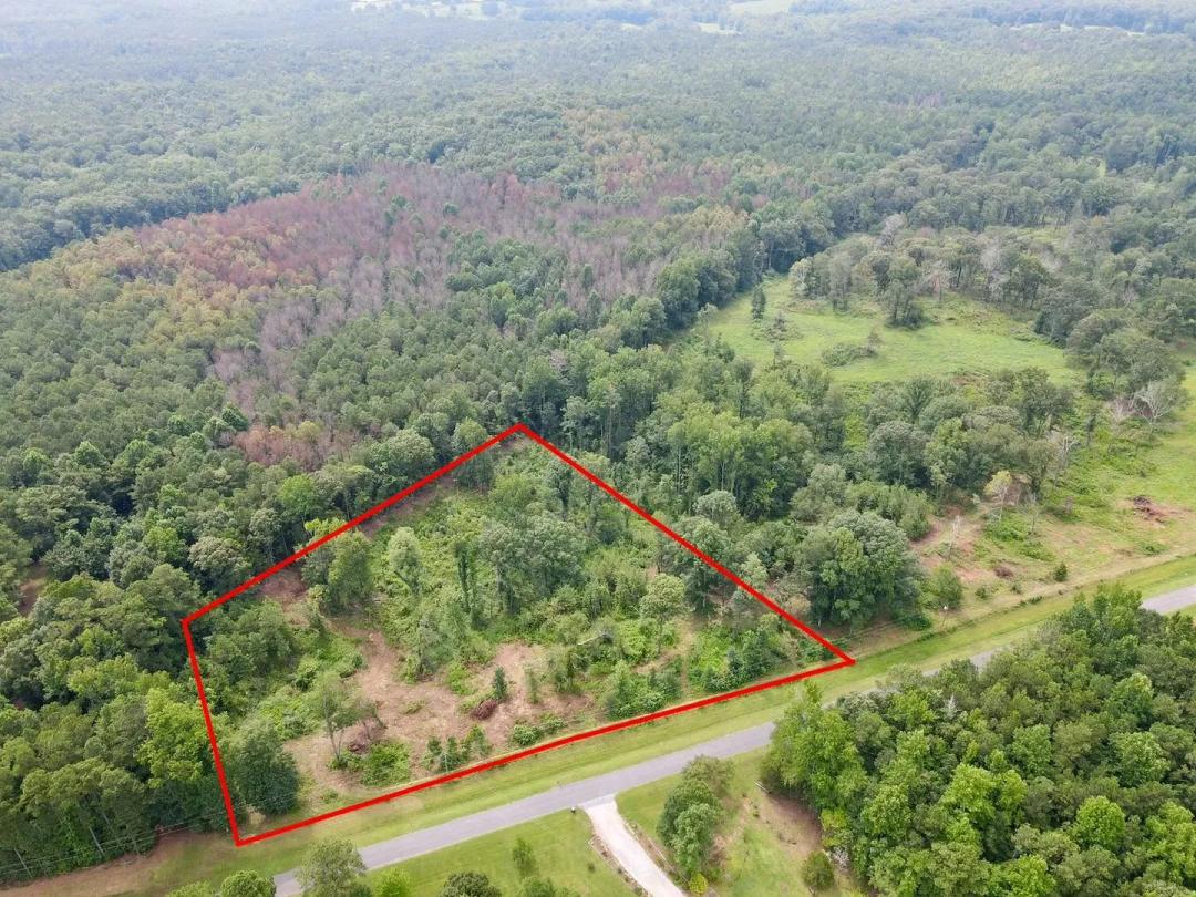 Denney Rd Lot 2- 3.1 acres