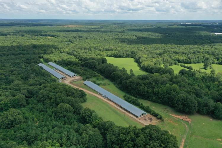 Circle N Broiler Farm