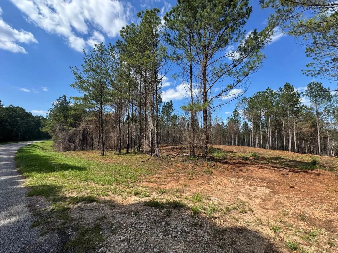 32.18 +/- Acre  Close to Lake Martin, Barrons Bridge Rd, Tallapoosa County