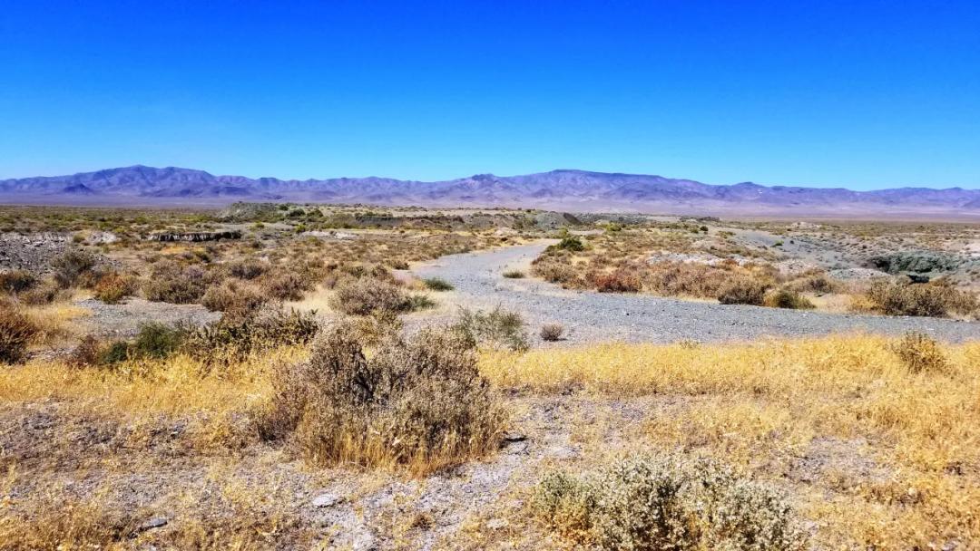 40 acres off Coal Mine Road Nevada Land East of Lovelock