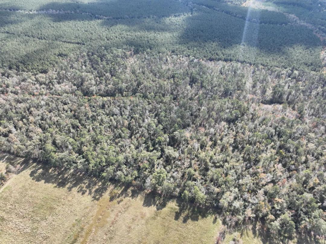80.00 Acres at 0 Village Sand Road