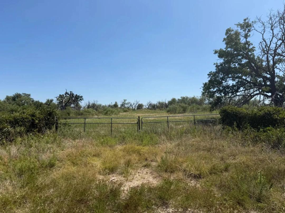 New Listing!  18.75+/- Acres, Eastland County