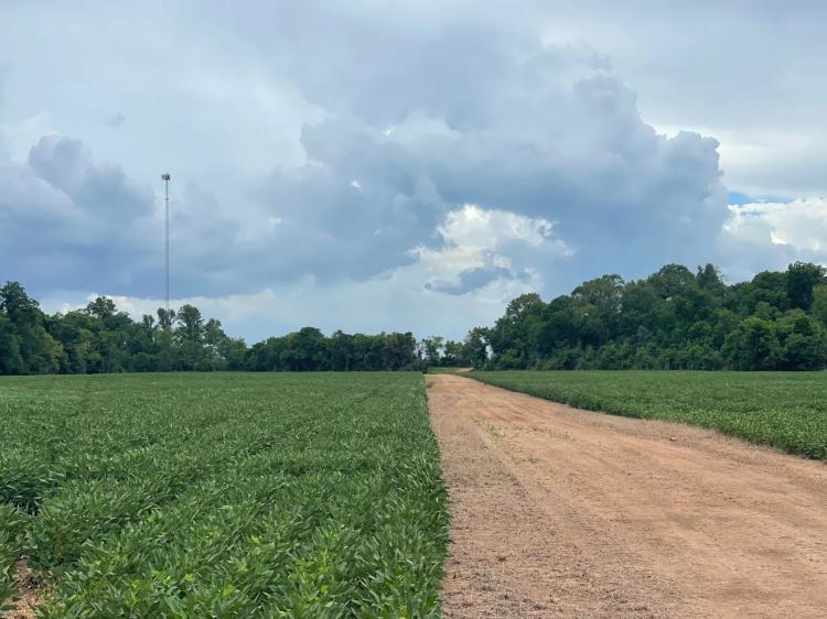 218.00 Acres at 0 HWY 71
