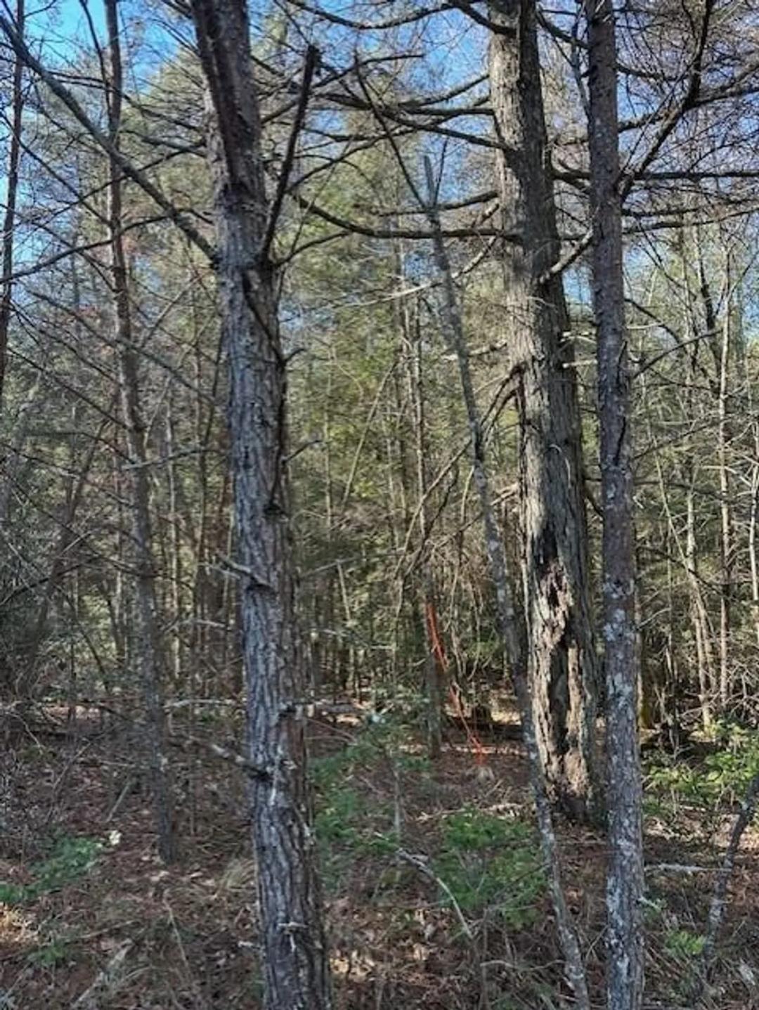 Discover a rare opportunity to own 6.70+/-scenic acres in Grundy County, Tennessee,
