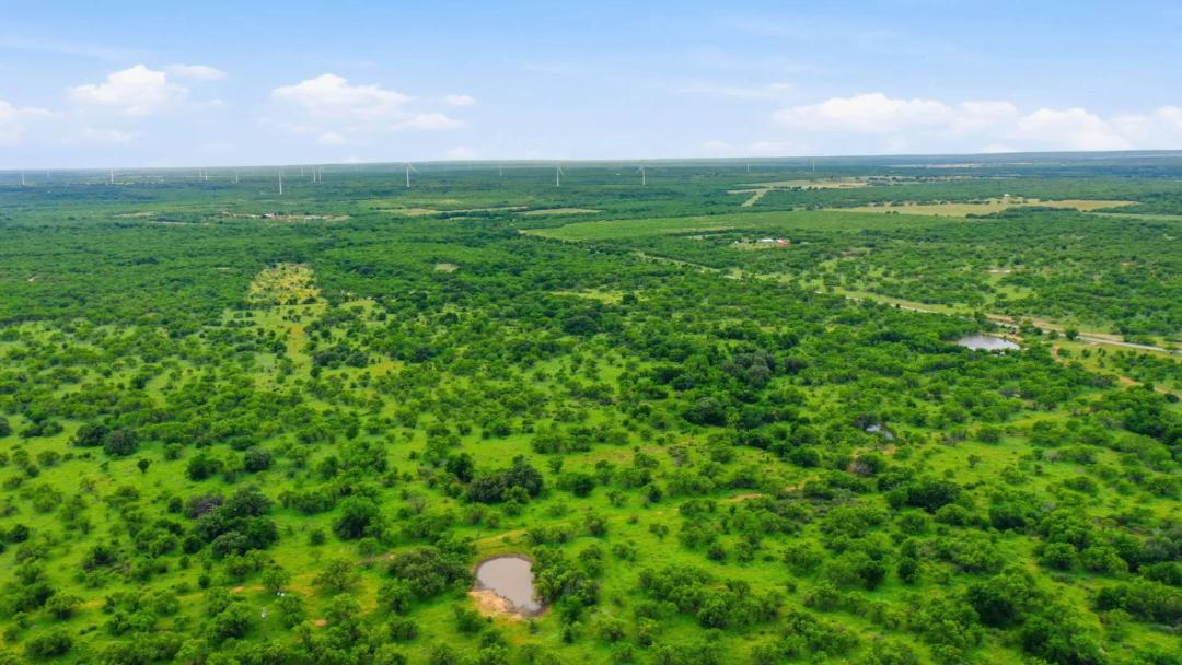 115+/-Acres FM 880 Moran, TX 76464