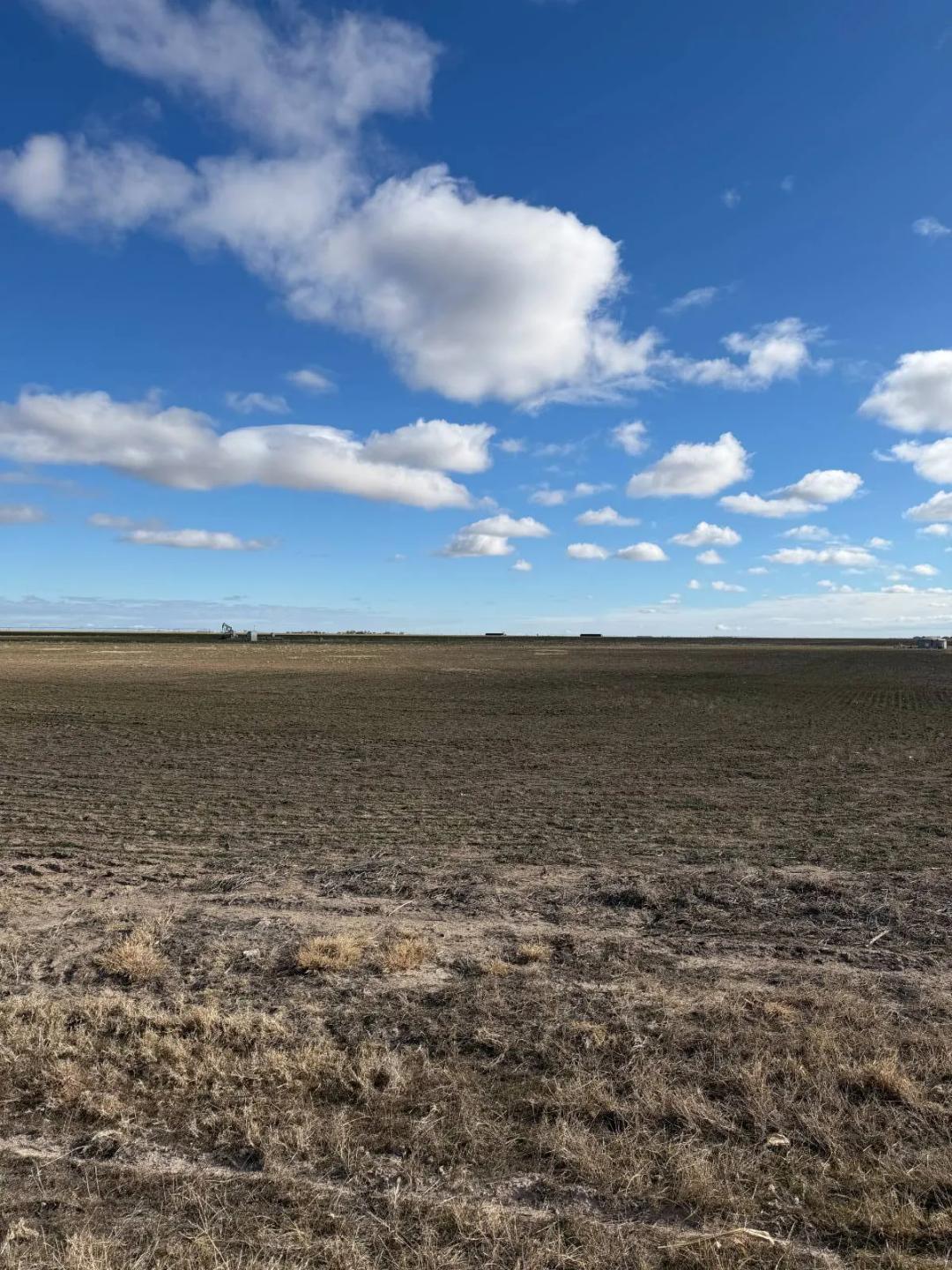 320 acres farm land