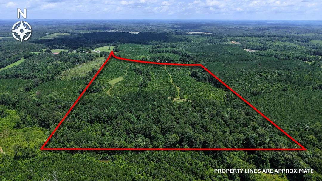67.13 Acres in Bullock County, AL 