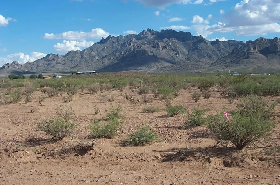 Half acre unimproved residential parcel Southern New Mexico near Rockhound