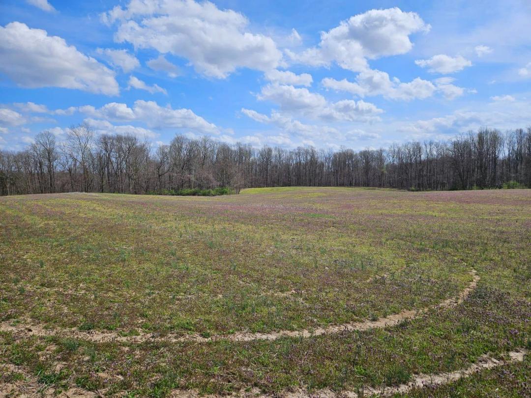 35.5 Acres Vacant Lane Highland County, OH