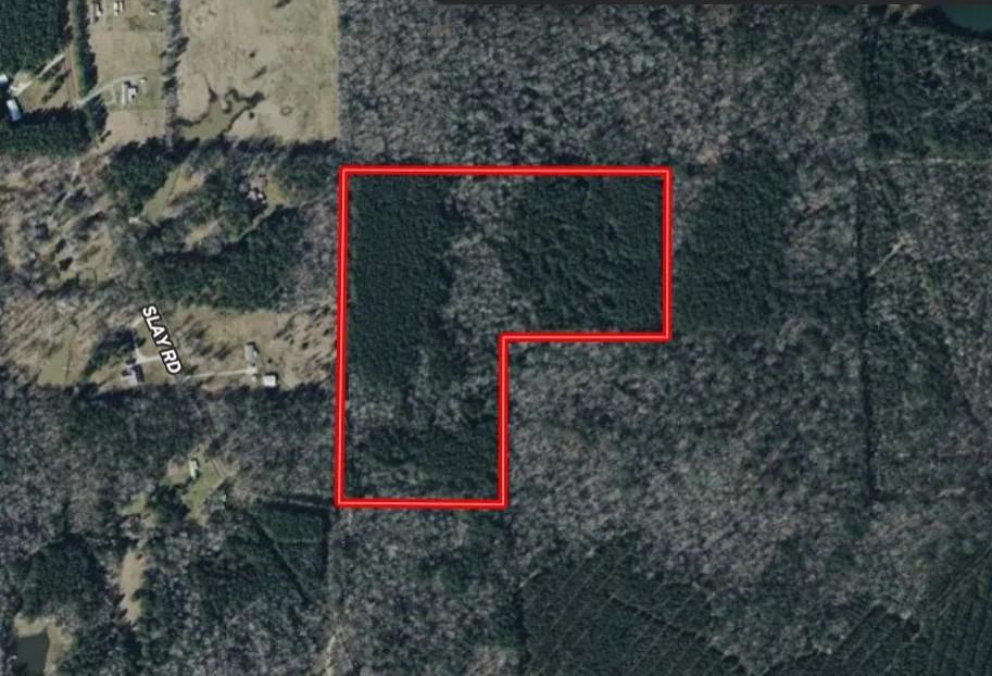 Timberland / Hunting tract