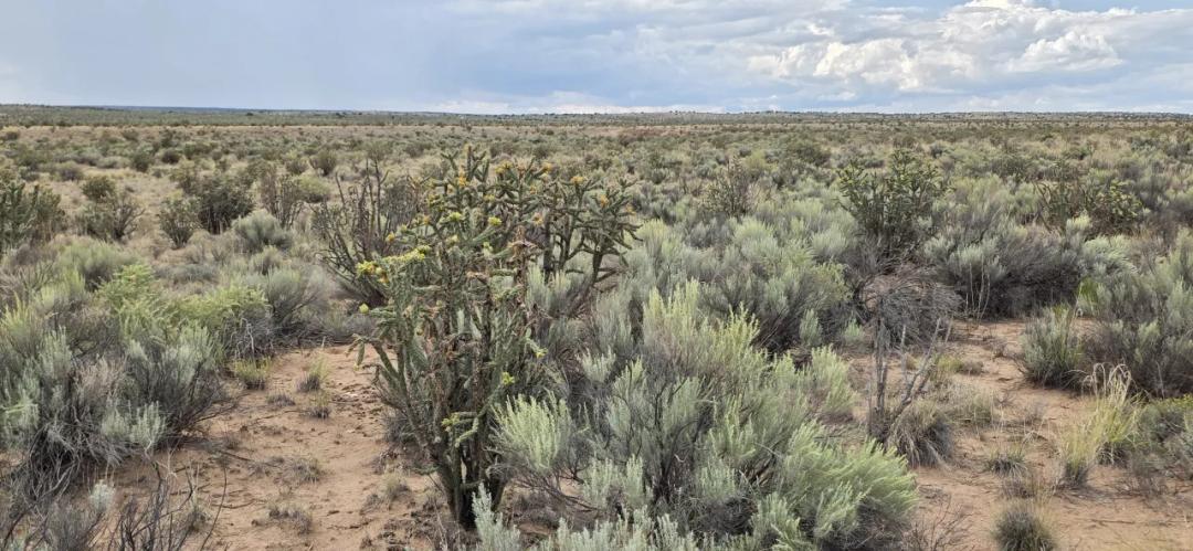 Rio Rancho New Mexico 1/2 acre Residential Lot
