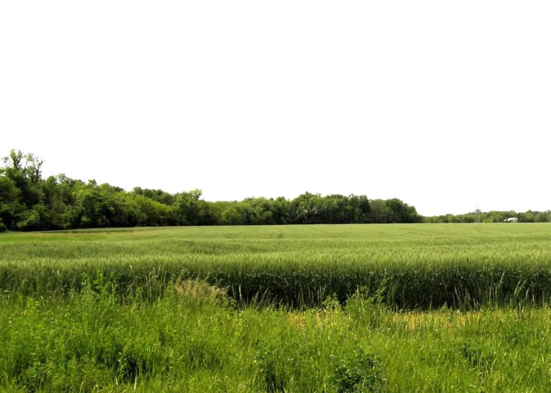FRco Development Potential