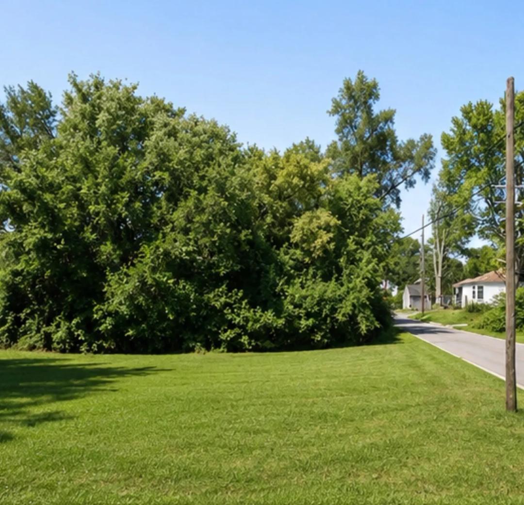 Vacant Residential Lot