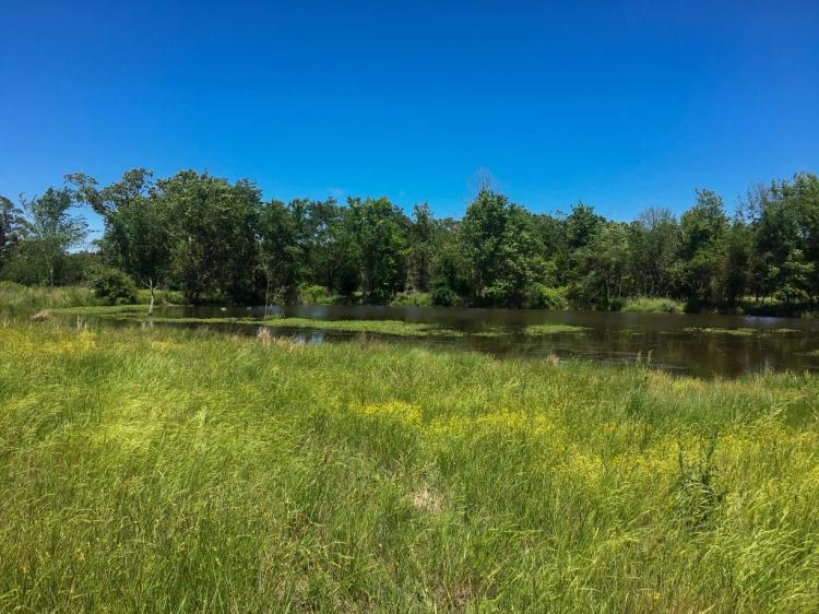 Whitewater Prairie 20