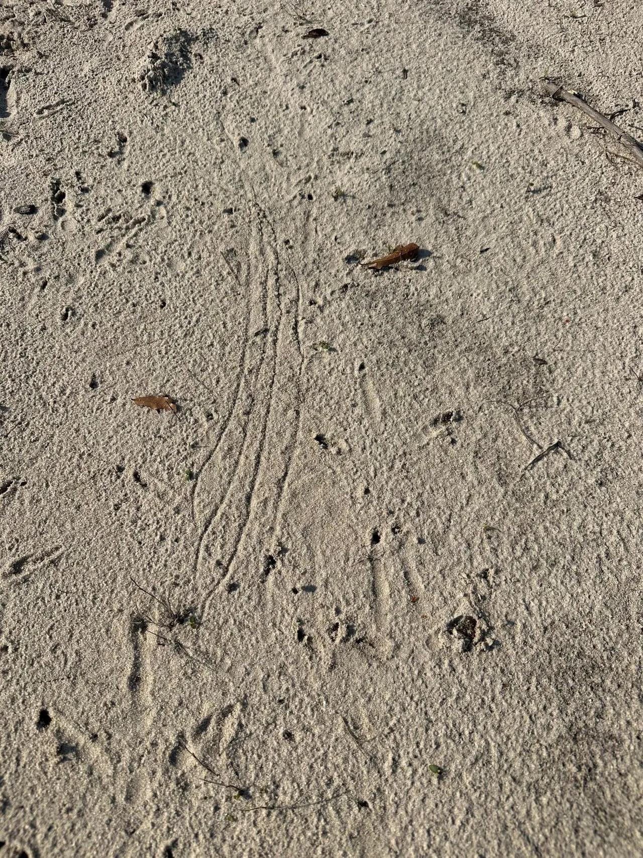 41194278-12