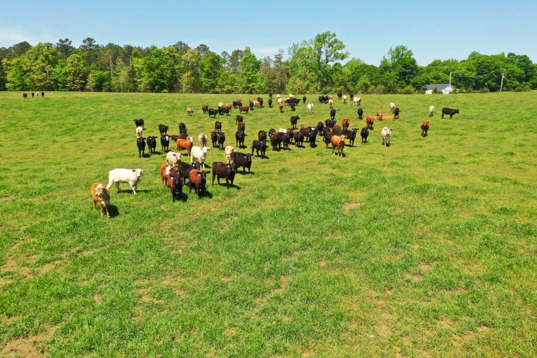 10.00 Acres at 00 Crawford Road