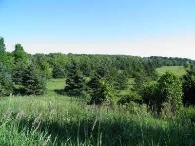 Harbor Meadows Subdivision