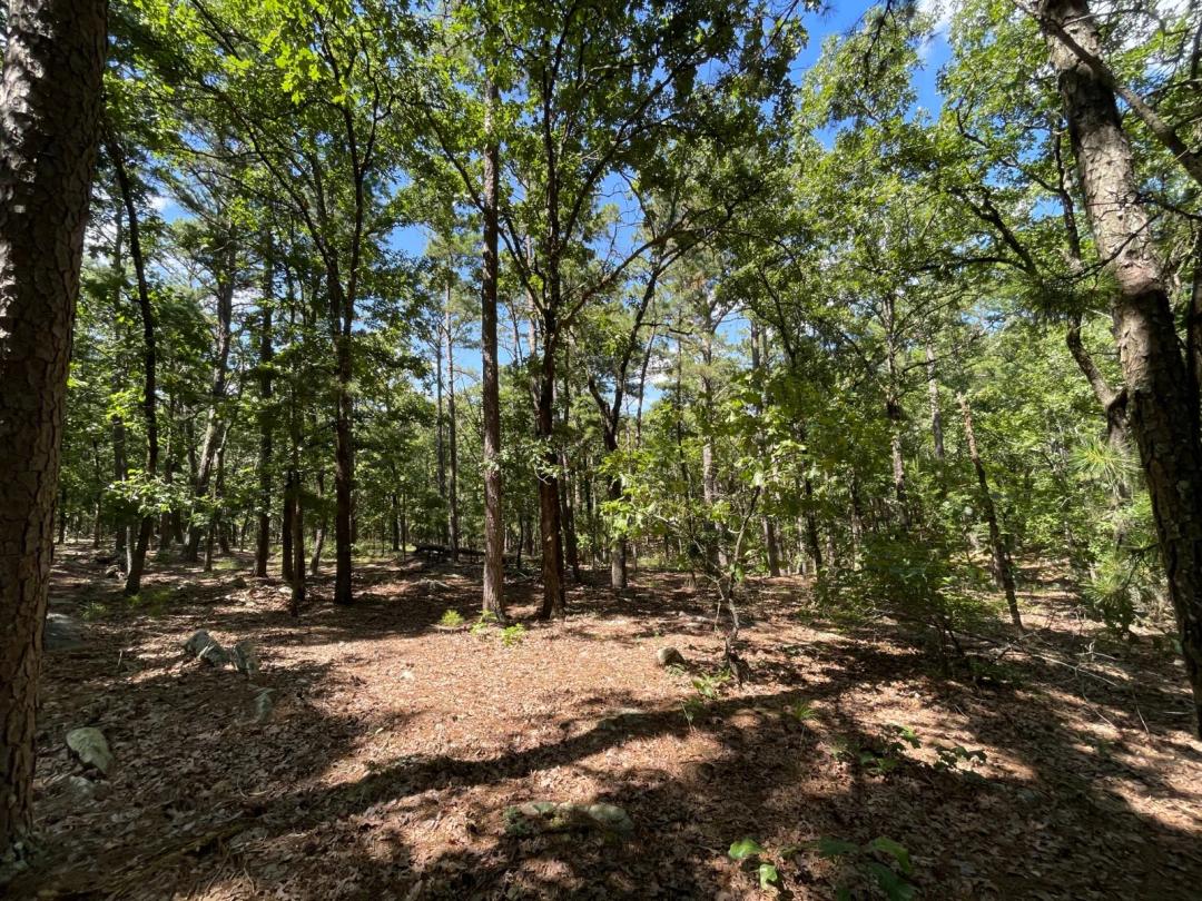 5.00 Acres at 274-A Monkey Wrench Trail