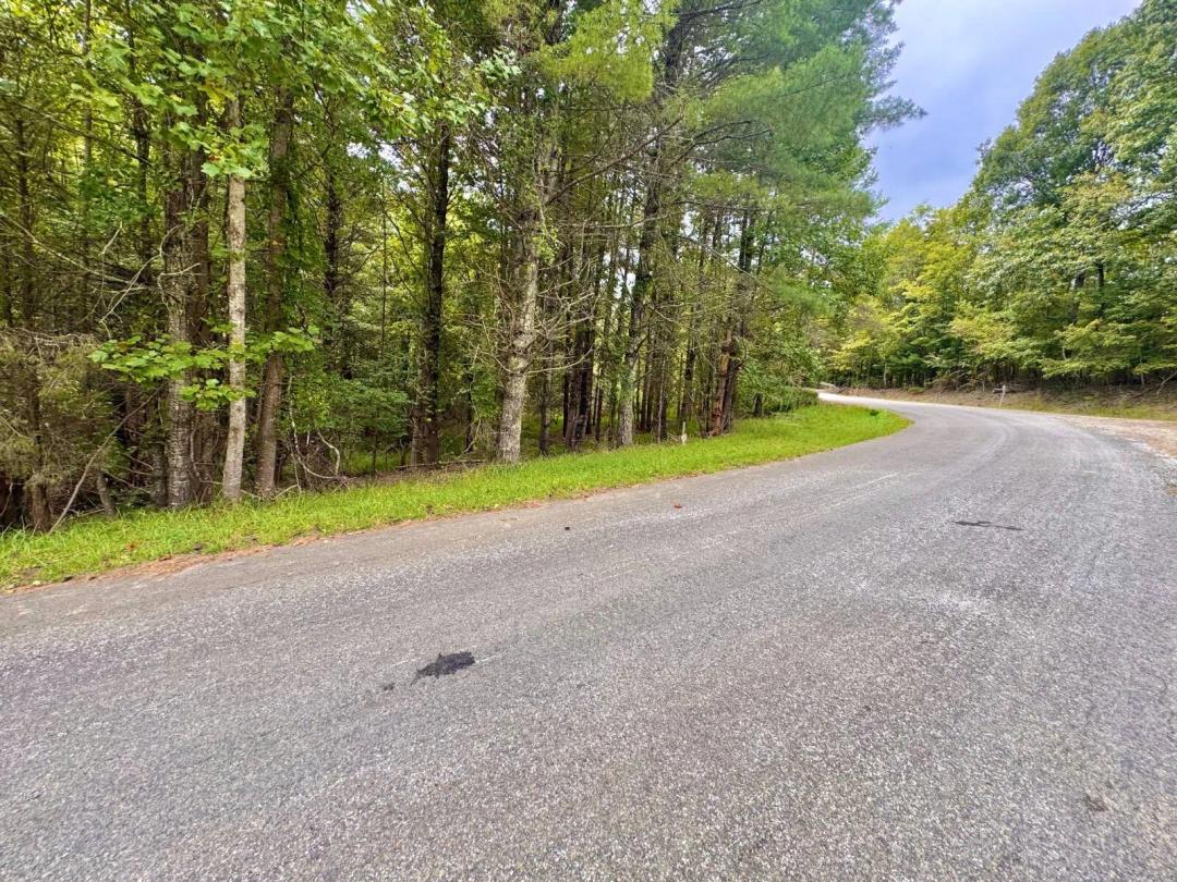 8+/- acres in Fries! Wooded and ready for it's new owner.
