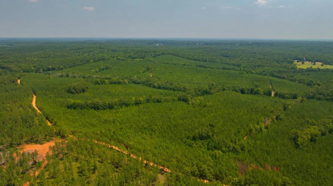 The Martin Branch Retreat- 227± Acres - Crawford County, Georgia