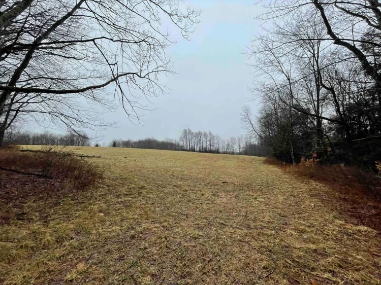51 acres Open Fields and Woodlands in Liberty NY White Sulphur Road