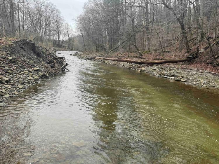 14 acres Recreational Land and Hunting Land with Creek borders State Land in Ellington NY 28th Creek Rd