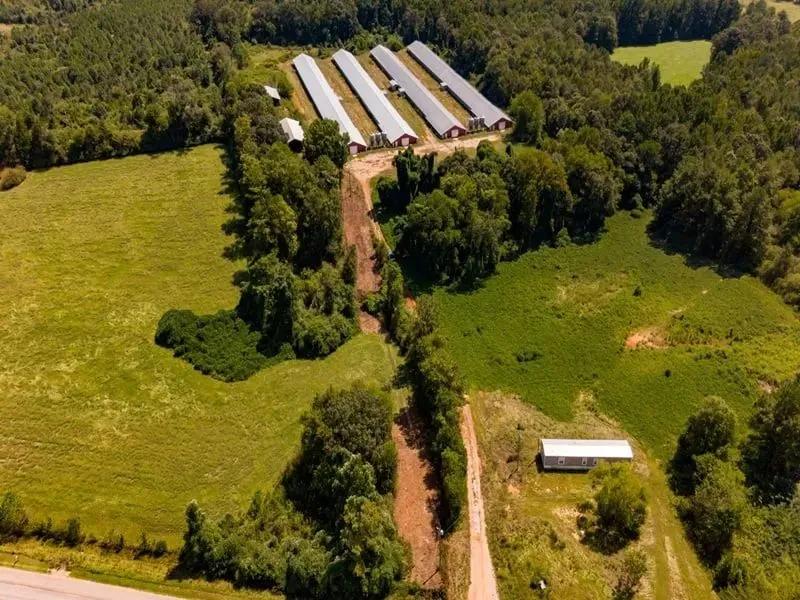 Decatur Broiler Farm – Four House Farm in Newton County, Mississippi