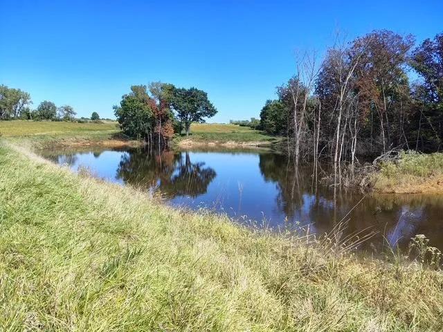 Excellent Building Site with Large Pond!