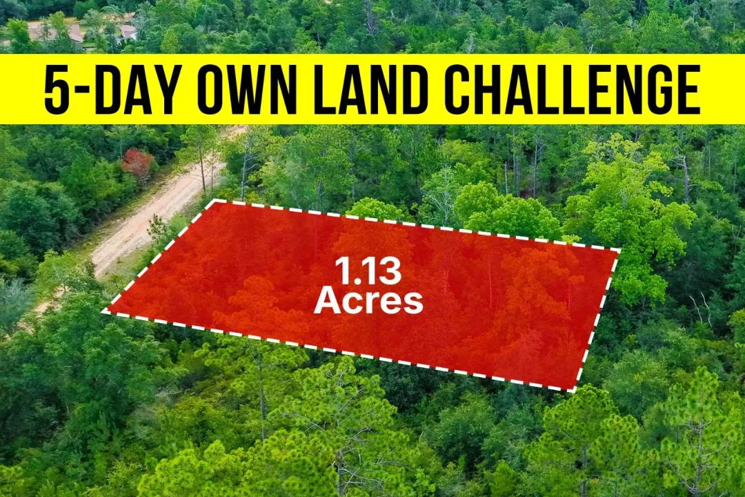 Own a 1.25-Acre No HOA Lot in FL, Double-Wide Friendly - Owner Financing