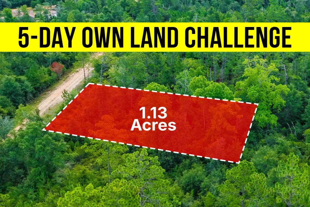 Own a 1.25-Acre No HOA Lot in FL, Double-Wide Friendly - Owner Financing